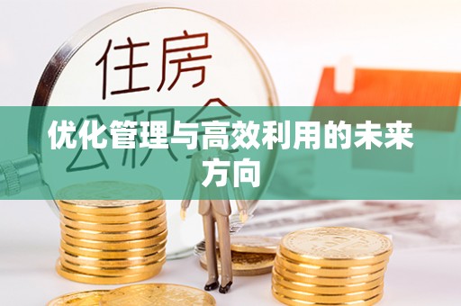 林州优化管理与高效利用的未来方向