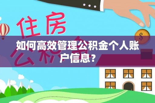 林州如何高效管理公积金个人账户信息？