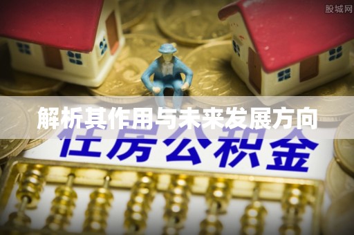 林州解析其作用与未来发展方向