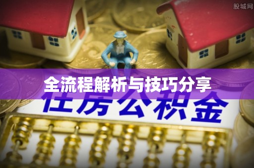 林州全流程解析与技巧分享